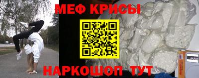 спайс Кингисепп