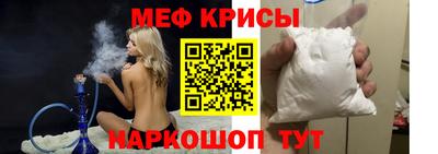 спайс Кингисепп