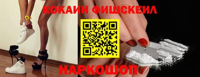 спайс Кингисепп