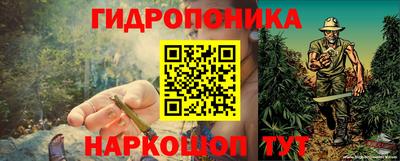 спиды Кандалакша