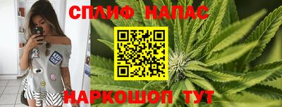 спиды Кандалакша