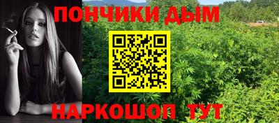 крисы Камышлов