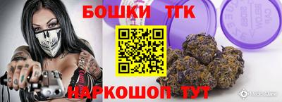спайс Кингисепп