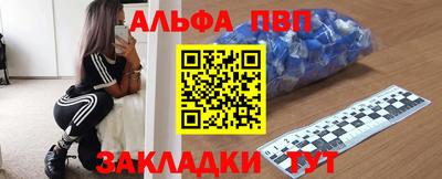 спайс Кингисепп