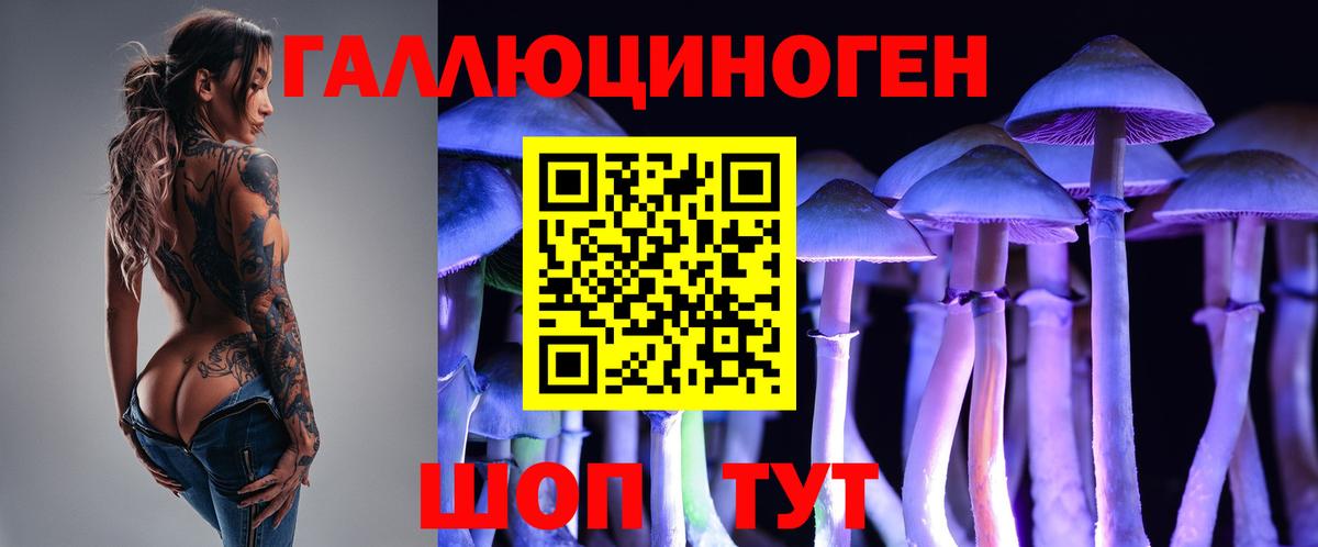 где найти наркотики  Вход с VPN  Касимов  Галлюциногенные грибы мухоморы  Галлюциногенные грибы Psilocybe 